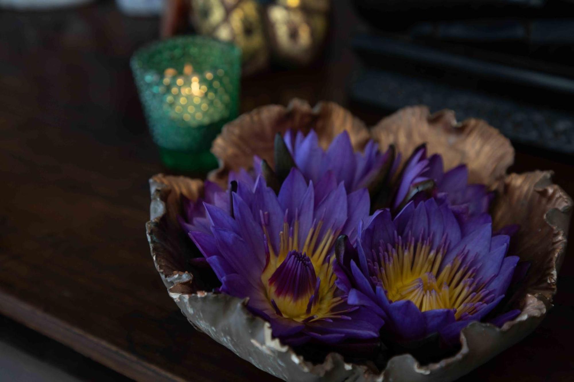 Lotus * Kolombo